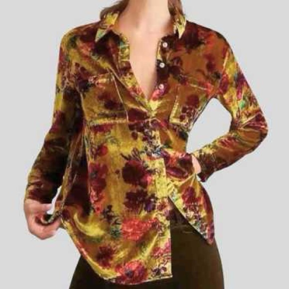 Pilcro Tops - Pilcro/ Anthropologie Floral Velvet Women Top